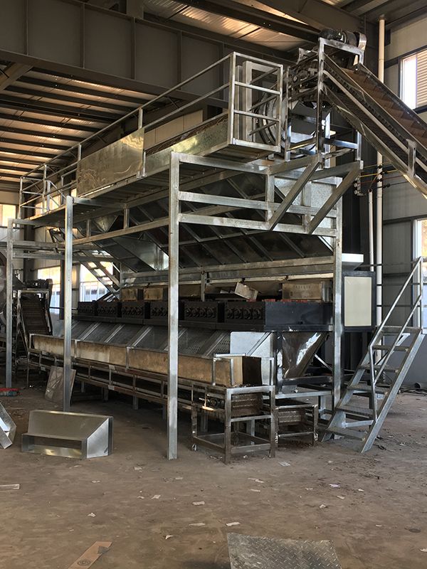 夏威夷堅果脫皮設(shè)備